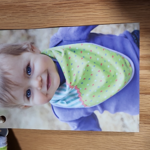 Organic Farm Buddies Bandana Bib - Picture 7 of 7